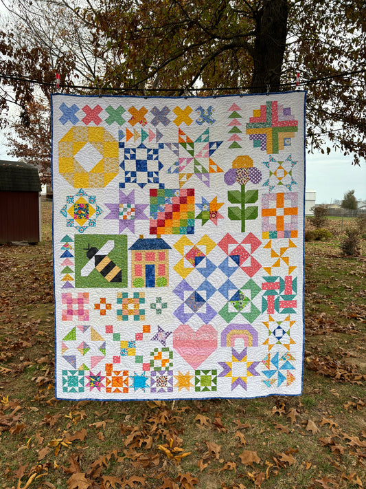 Shine On Sampler Quilt