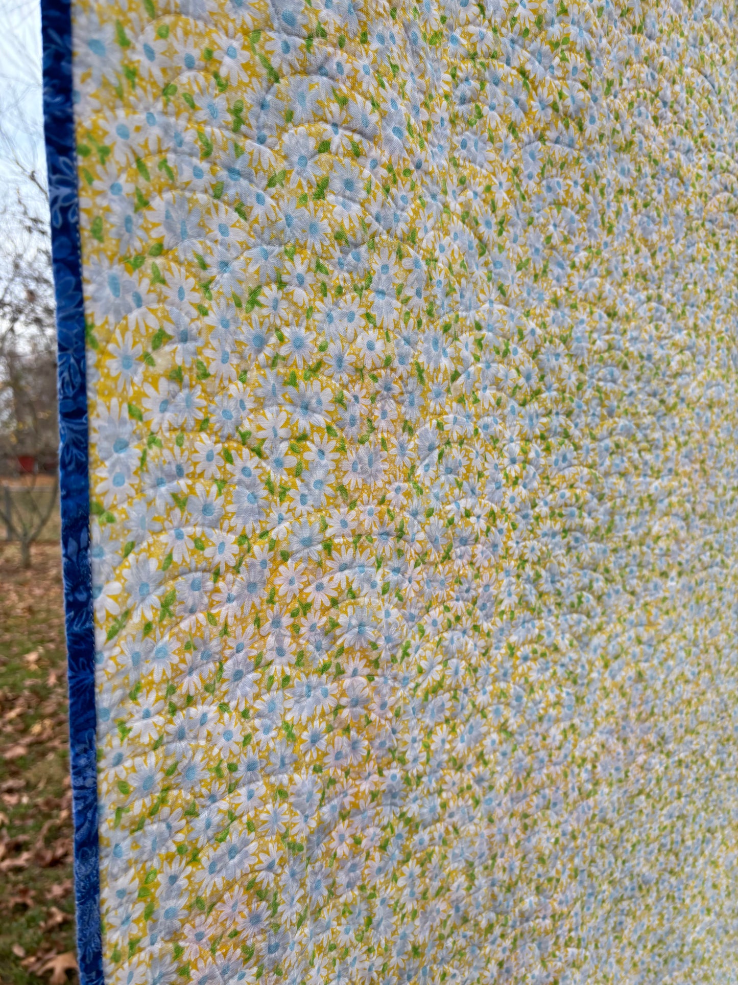 Shine On Sampler Quilt