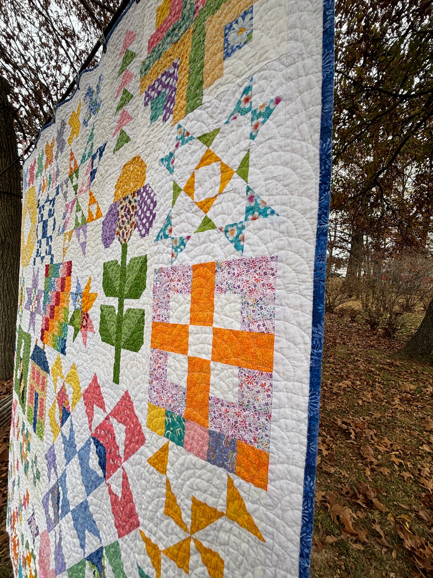 Shine On Sampler Quilt