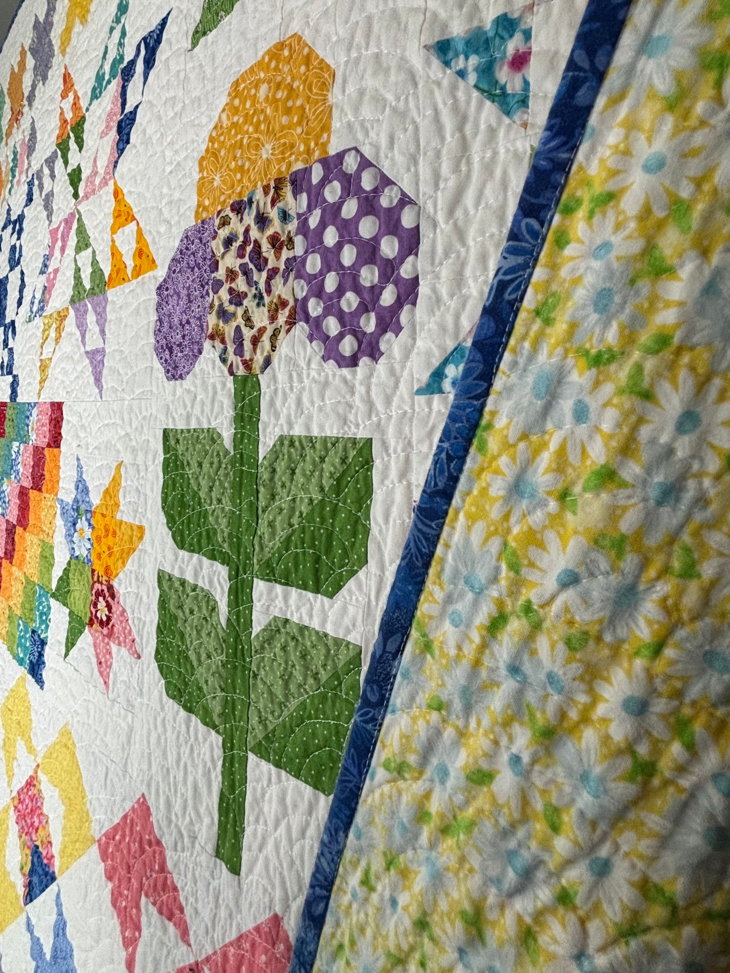 Shine On Sampler Quilt